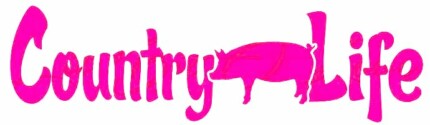 country life pig sticker