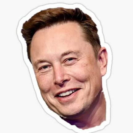 ELON MUSK SMILE TESLA STICKER