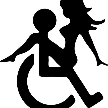 FUNNY HANDICAP DECAL STICKER