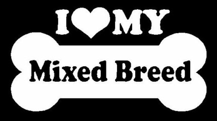 I Love My Mixed Breed