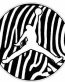 JUMP CIRCLE - SKIN ZEBRA