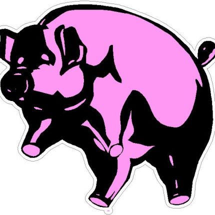 Pink_Floyd-PIG sticker 2