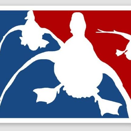 RWB DUCK HUNTER STICKER