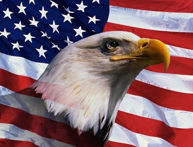 American-Flag-and-bald-eagle STICKER 3