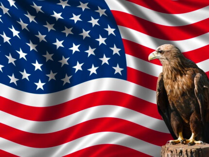 American USA Flag With Eagle 1