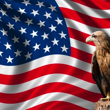 American USA Flag With Eagle 1