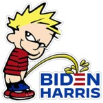 BIDEN SUCKS STICKER PEEON HARRIS TOO