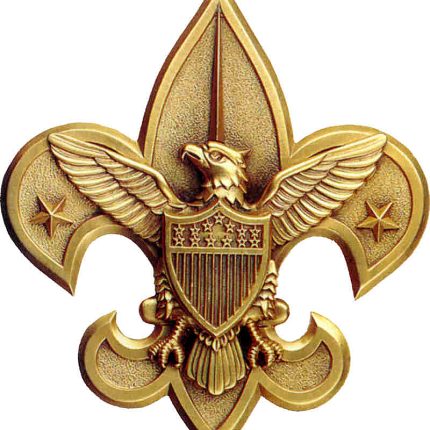 Boy Scouts of America Badge sticker