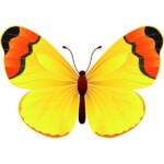 Butterfly Color Window or Wall Sticker 3