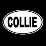 Collie Dog Oval Decal