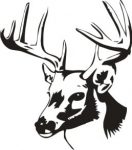 Deer Head 2 Decal