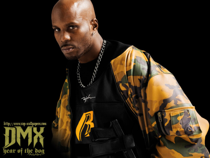 DMX Wallpaper Sticker 2