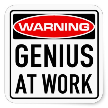 Genius at Work Funny Warning Sticker Set