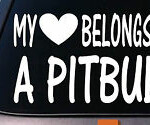 my heart belongs to a pitbull die cut decal