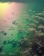 Rainbow Vinyl Wall Art Graphics 21
