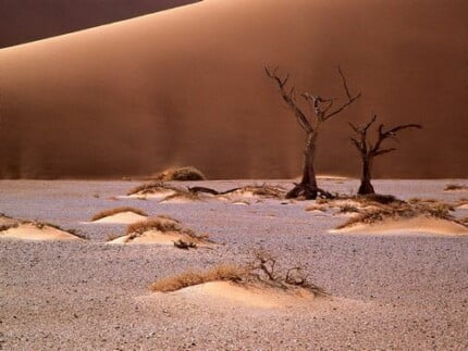 Sand and Deserts Vinyl Wall Graphics 32