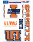 University of Illnois Multipack Decal