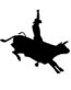 Western Decals 03