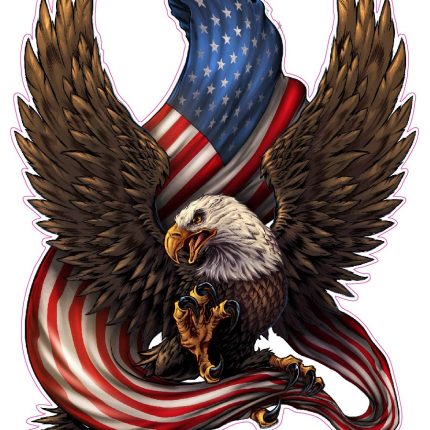 American-eagle Bald-Eagle-American-Flag