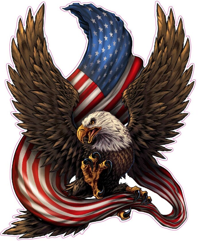 American-eagle Bald-Eagle-American-Flag
