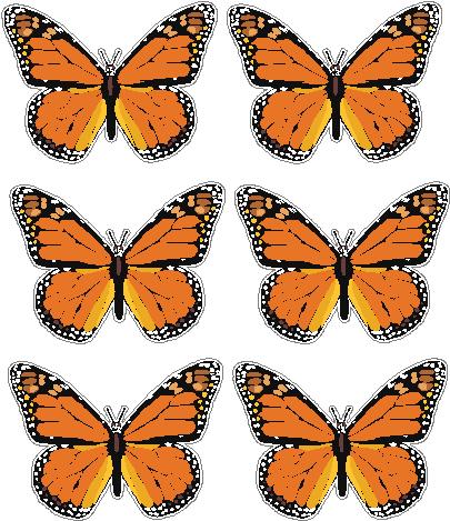 butterfly sticker MONARCH - 6 PACK