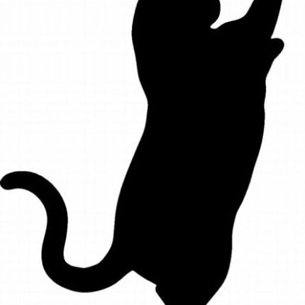 Cat Cats Animal Animals Vinyl Decal Sticker 05