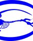 CHEVY IMPALA LOGO BONES DECAL