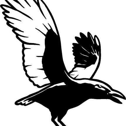 Crow Crows Animal Animals Vinyl Decal Sticker