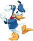 Donald-Duck mad funny cartoon car sticker