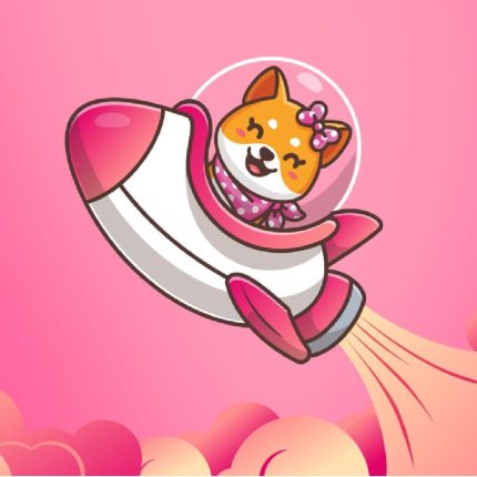 ELON DOGE BABY TO MARS PINK STICKER