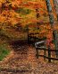 Fall Colors Adhesive Wall Graphics 40