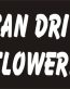 I can drive slower sarcastic funny joke novelty car sticker