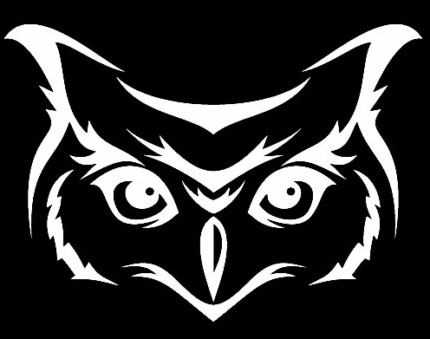 owl-face-car-window-decal