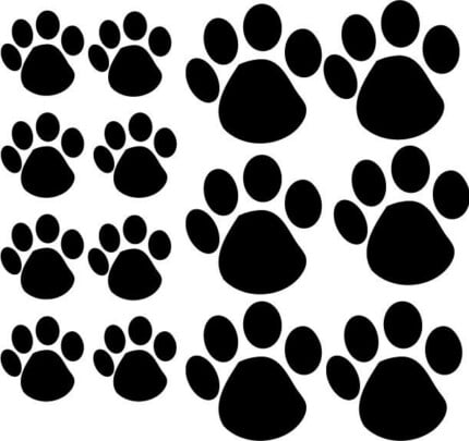 Paw Print Decals 44