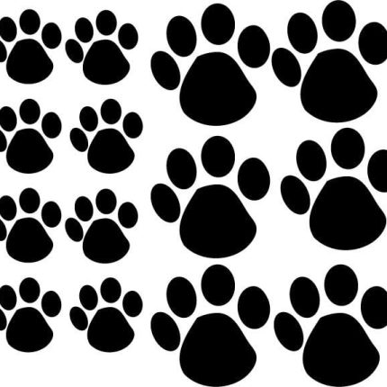 Paw Print Decals 44