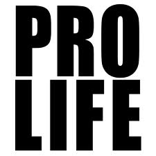 PRO LIFE Vinly Decal