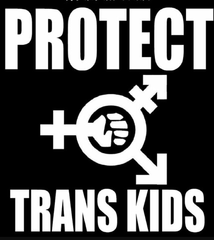 protect trans kids diecut decal