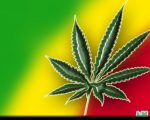 Rasta Reggae Sticker Weed 420 Decal 19