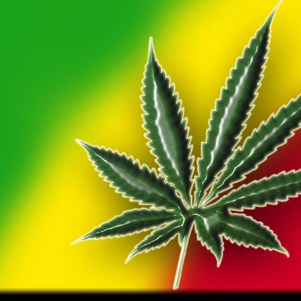 Rasta Reggae Sticker Weed 420 Decal 19