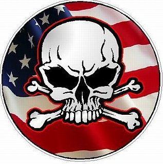 SKULL CIRCULAR FILLS Flag USA