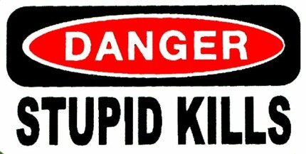 Stupid Kills Funny Warning Sticker Set