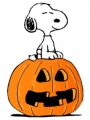 The great pumpkin SNOOPY charlie brown sticker