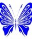 Tribal Butterfly 15