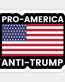 2020 PRO AMERICAN ANTI TRUMP STICKER