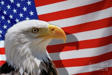 American-Flag-and-bald-eagle STICKER 6