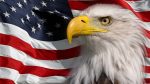 American-Flag-and-bald-eagle STICKER