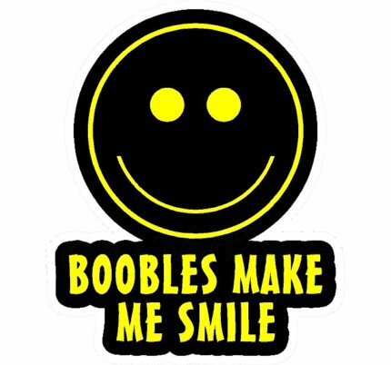 Boobs Make Me Smile Decal