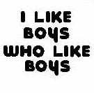 Boys Who Like Boys Decals