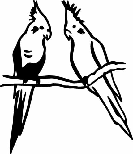 Cockatiel Bird Birds Animal Animals Vinyl Decal Sticker