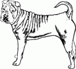 Dog Breed Decal 12a